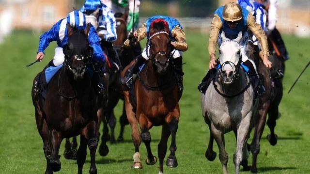 Unveiling the Excitement: Horse Racing Result