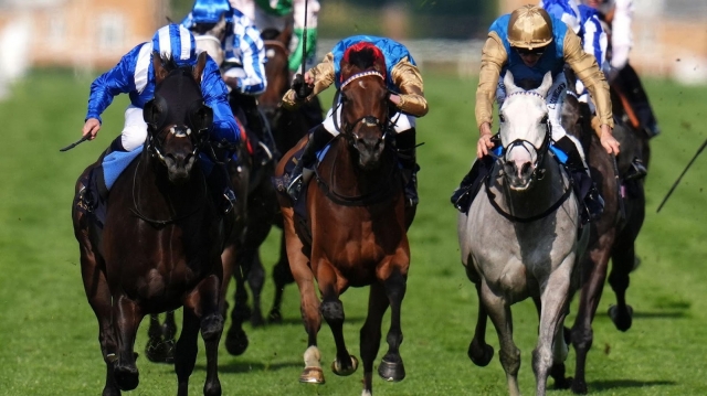 Unveiling the Excitement: Horse Racing Result